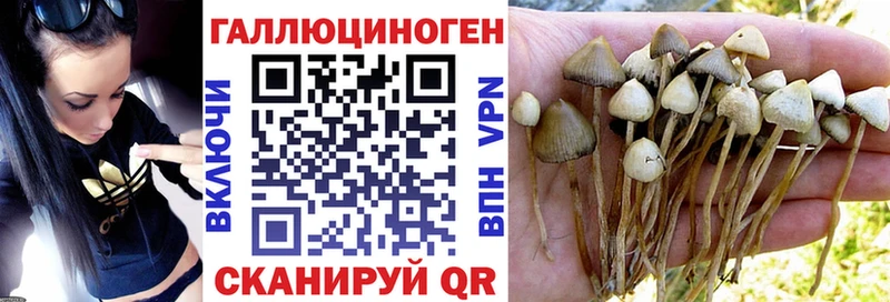 hydra ТОР  Райчихинск  Галлюциногенные грибы Magic Shrooms 